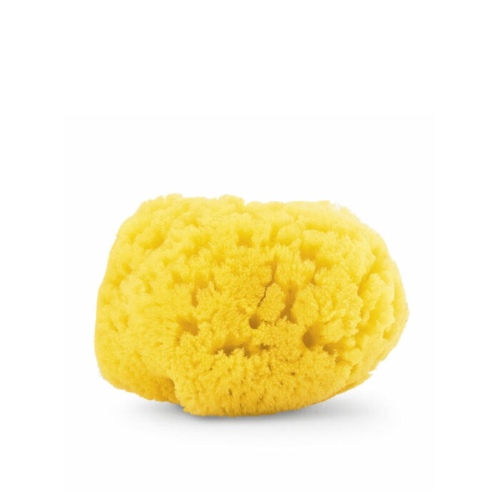 chicco natural sea sponge medium 0m 1